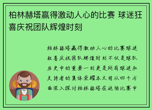 柏林赫塔赢得激动人心的比赛 球迷狂喜庆祝团队辉煌时刻