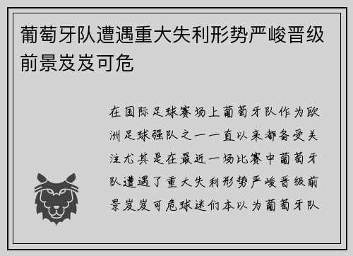 葡萄牙队遭遇重大失利形势严峻晋级前景岌岌可危