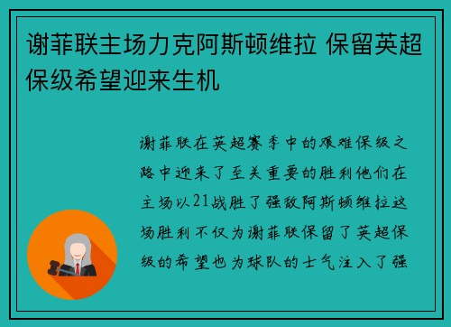 谢菲联主场力克阿斯顿维拉 保留英超保级希望迎来生机