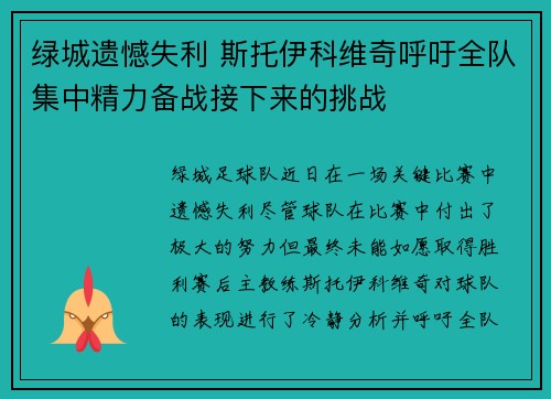 绿城遗憾失利 斯托伊科维奇呼吁全队集中精力备战接下来的挑战