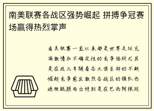 南美联赛各战区强势崛起 拼搏争冠赛场赢得热烈掌声