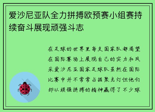 爱沙尼亚队全力拼搏欧预赛小组赛持续奋斗展现顽强斗志