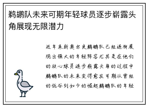 鹈鹕队未来可期年轻球员逐步崭露头角展现无限潜力